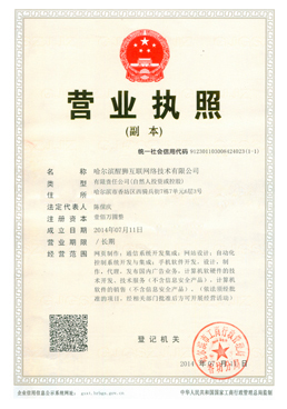 哈尔滨小程序开发、网站建设与网络推广全攻略 数字时代的企业引擎